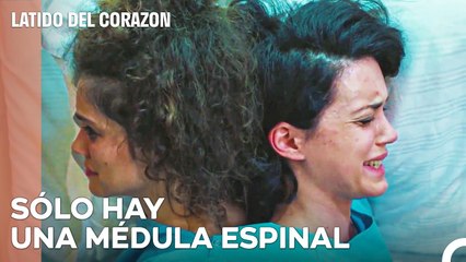 La Prisa Por Separar A Hermanos Unidos - Latido Del Corazon