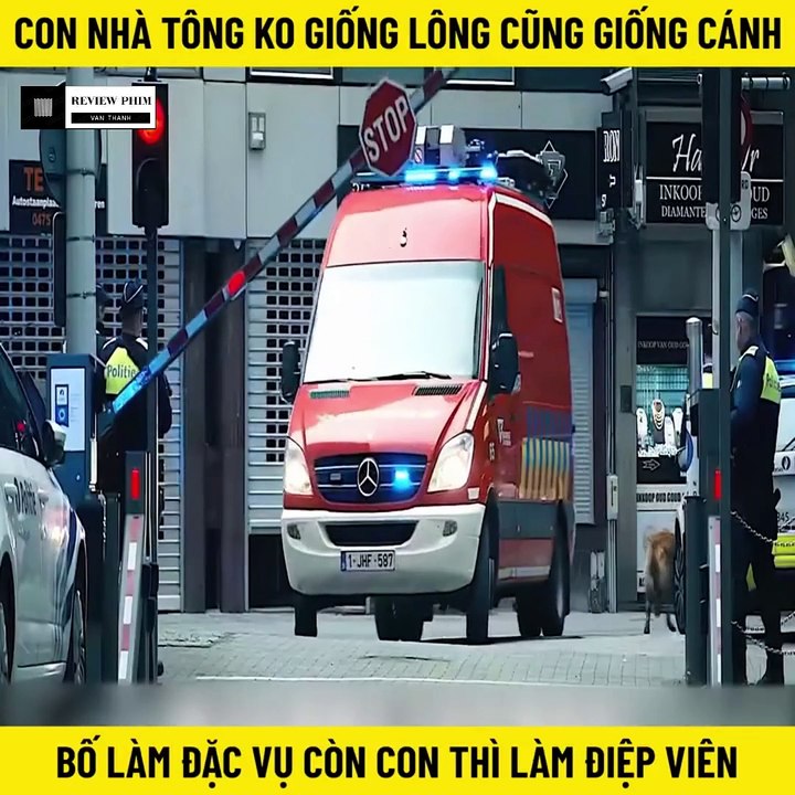 Review Phim - Con Nhà Tông không Giống Lông Cũng Giống Cánh