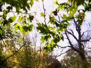 Documental "Tiempo: La Cuarta Dimensión" - Explorando el Tiempo Cósmico