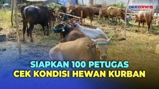 100 Petugas Dikerahkan DPKP Kabupaten Tangerang untuk Cek Kondisi Hewan Kurban