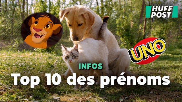 Entre Disney et mythologie, voici les noms les plus donnés aux chiens et aux chats en 2023