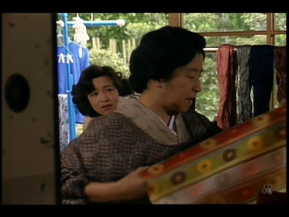 京都・女性記者シリーズ04 「京都大原殺人街道」 (主演・坂口良子)