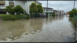 Alluvione in Veneto, danni a coltivazioni. Zaia: 