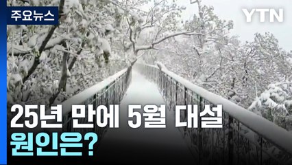 25년 만에 가장 늦은 5월 대설, 원인은? / YTN