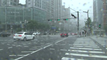 '침수 위험' 내비로 안내...여름철 홍수 대책 발표 / YTN