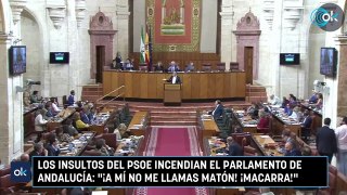 Los insultos del PSOE incendian el Parlamento de Andalucía: 