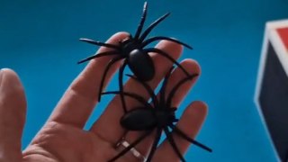 Arachnophobic man's peace ambushed by mischievous partner's 'fake spiders' prank