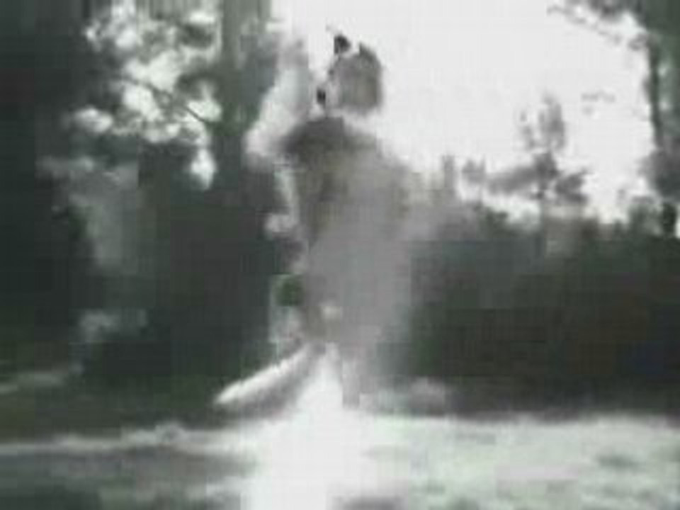Lassie-contre-le-puma