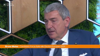 Europee, Molea "L'Ue assegni più fondi al Terzo settore"