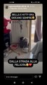 bella e Kitty ora giocano sempre