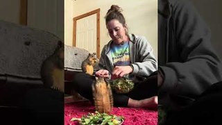 Woman Eats Salad With Rescued Squirrels