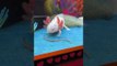 Axolotl Swallows Worm Whole After Missing It Once