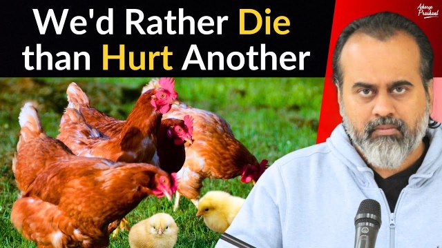 Low B12? So you'll kill an animal? || Acharya Prashant, in conversation with PETA CEO (2023)