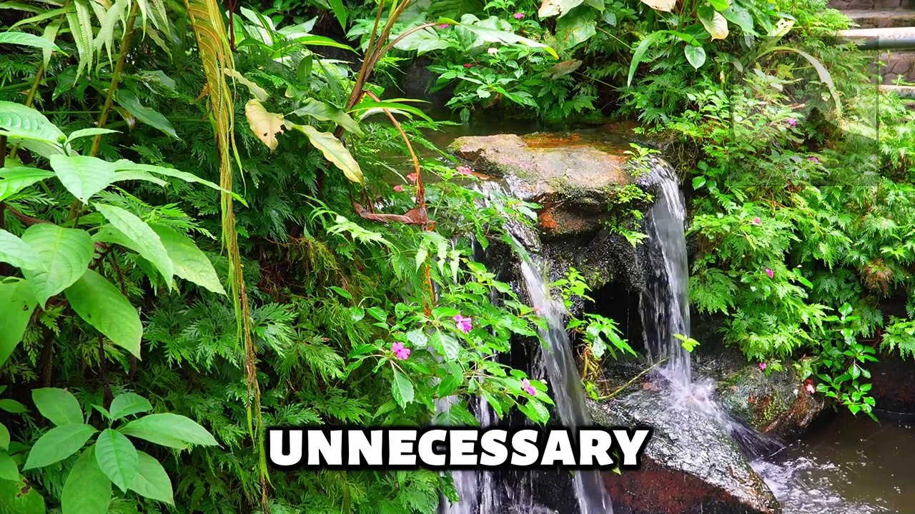 Diogenes of Sinope: Rejecting Materialism, Embracing Freedom