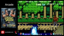 Arcade | Double Dragon