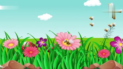 Ek chiriya boli Allah ho Allah ho