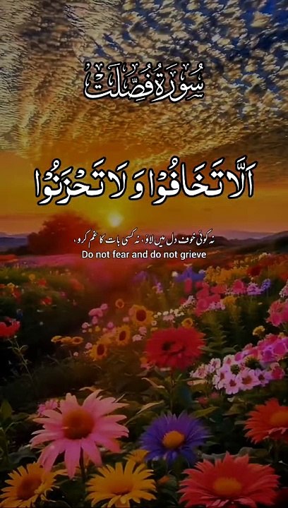 surah fusillade.. Quran beautiful recitation with قاری_سعیدالأسلام_اسد