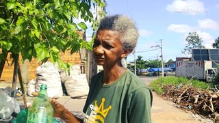 Reciclagem: moradores do Curió-Utinga, em Belém, transformam garrafa PET em vassoura e pneu em arte