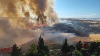Mardin'de, Suriye sınırındaki mayınlı bölgede çıkan yangın 30 dönüm buğday ekili alanı yaktı