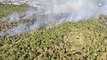 Jalisco, primer lugar nacional en superficie afectada por incendios forestales