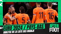 Euro 2024 : Absence de Zirkzee, incertitude au poste de gardien ... Analyse de liste des Pays-Bas