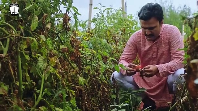 Shriram Farm Solutions: Revolutionizing Agriculture for Tomorrow