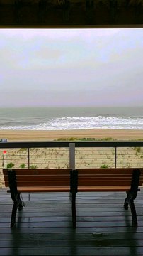 If we confess our sins, he is faithful and just to forgive us our sins, and to cleanse us from all unrighteousness.1 John 1:9 - KJV