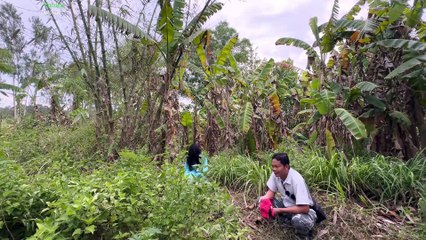 Tập 01 Ma 100% Là Con Gái Chuyển Thể - Đi Quay Ma