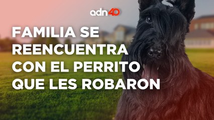 Recuperan a su perrito después de perderlo en un asalto