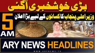ARY News 5 AM Headlines 17th May 2024 | CM Maryam announces Rs400bn package for farmers