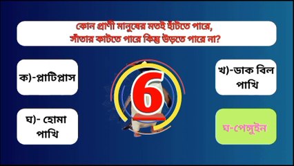 সাধারণ জ্ঞান কুইজ পাখি এবং প্রাণী  পশু এবং পাখি GK কুইজ   কোন পাখি আকাশে ডিম পারে Quiz Question