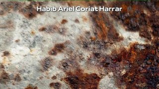 |HABIB ARIEL CORIAT HARRAR | ¿CÓMO DISTINGUIR TEXTOS DE IA’S DE LA CREATIVIDAD HUMANA? (PARTE 1) (@HABIBARIELC)