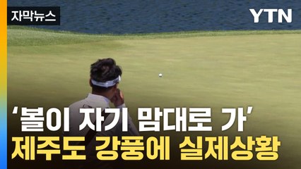[자막뉴스] 눈물 나는 골프공...태풍급 강풍에 프로들도 '추풍낙엽' / YTN