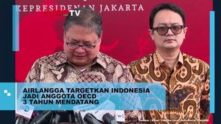 Airlangga Targetkan Indonesia Jadi Anggota OECD 3 Tahun Mendatang