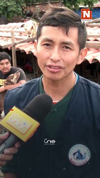 #NotivisionScz | En esta temporada de frio, quienes también la pasan mal son las mascotas, el refugio Angelitos de Edgar alberga más de 300 mascotas y necesitan ayuda para enfrentar el invierno, desde abrigos hasta medicamentos.