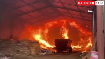 Yalova Altınova'da samanlık yangını