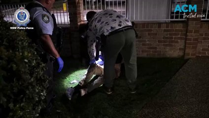 Man arrested for home invasion in Port Macquarie | May 17, 2024 | Port Macquarie News