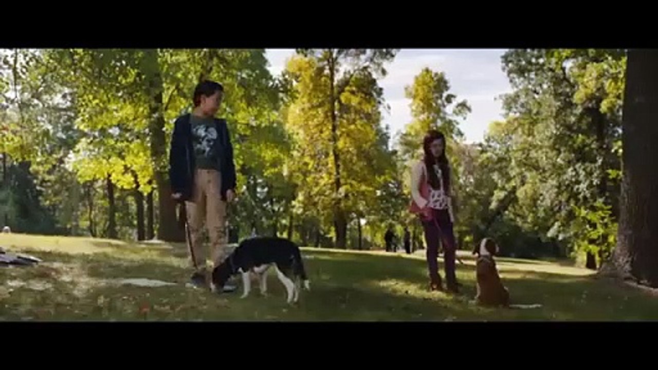 Mes Autres Vies de Chien Bande-annonce (EN)