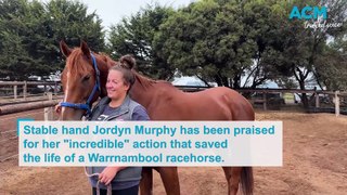 Heroic actions save racehorse swimming out to sea