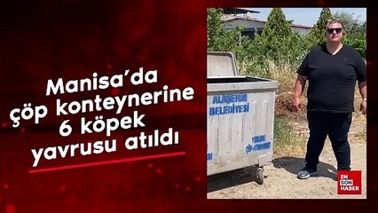 Manisa'da çöp konteynerine 6 köpek yavrusu atıldı