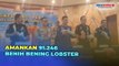 Ditpolair Gerebek Gudang Kemasan Benih Bening Lobster di Bogor, Tangkap 3 Tersangka