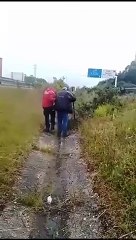 Idoso Resgatado pelos Bombeiros na A28 🚒