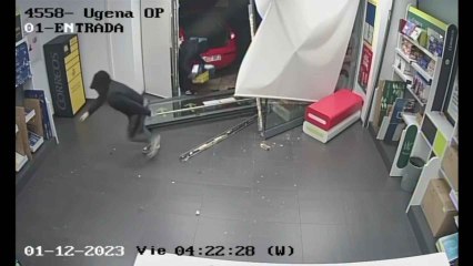 Operación 'Leñeros': Descubre la Gran Investigación en Curso 🔍