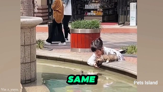 When You Own A Dog With An IQ 200 Funniest Dog Ever! Life with a Dog Genius A Day in the Life