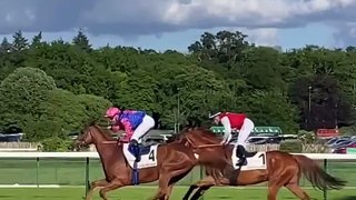 J'ai assisté à une course à l'Hippodrome ParisLongchamp.