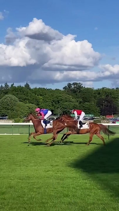 J'ai assisté à une course à l'Hippodrome ParisLongchamp.