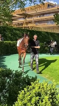 J'ai découvert les coulisses de l'Hippodrome ParisLongchamp. Défilé de chevaux avant les courses.