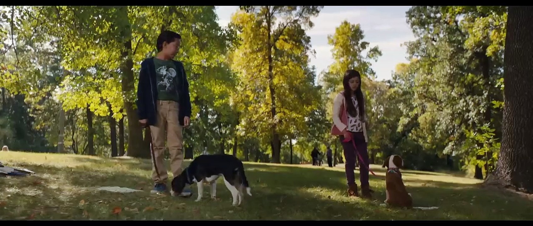 Mes Autres Vies de Chien Bande-annonce (EN)