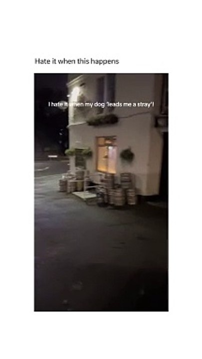 This dog takes owner to the pub