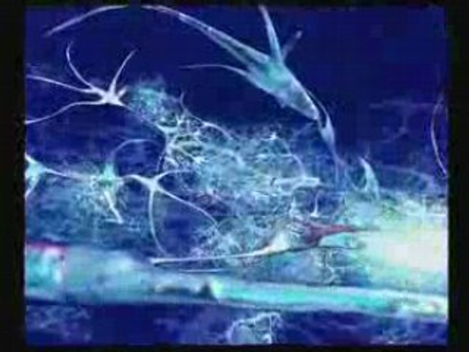 NESSBEAL - ROIS SANS COURONNE / RSC [ CHRIS MACARI ]